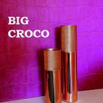  Big Croco