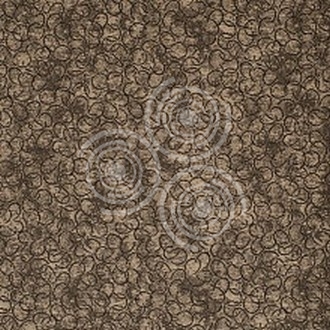  ProSpero Orchidea 4 ORD-U