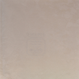 ���� Roberto Borzagi Queen I 90109-2