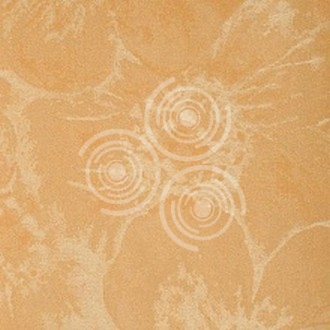  ProSpero Orchidea 8 ORD-A