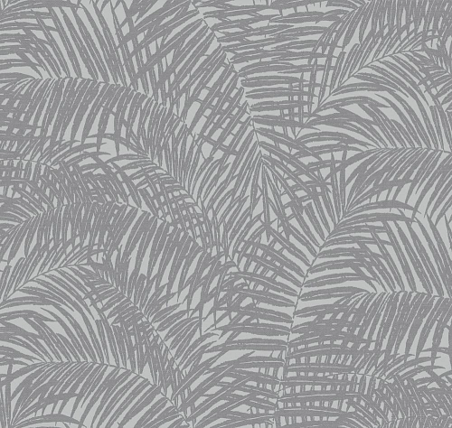 ���� Milassa � JA7 005