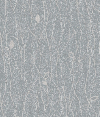 ���� Brewster Evolution 3 BWE03201