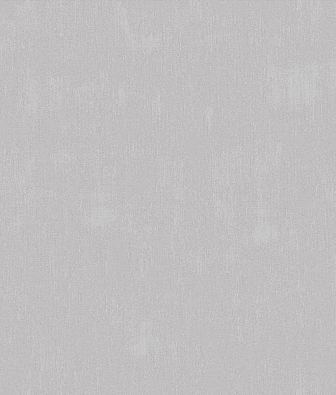 ���� Brewster Evolution 2 BWE02429