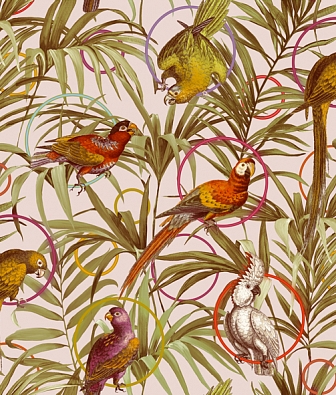 ���� Alessandro Allori Dolce Vita RDV2401-3