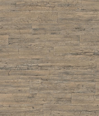 ���� Rasch Curiosity 537031