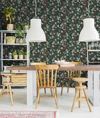 ���� Coordonne Naturae 9500001N