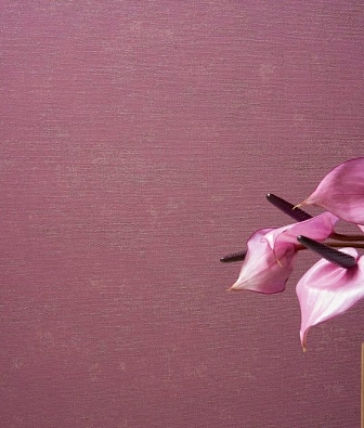 ���� Marburg Bombay 30131