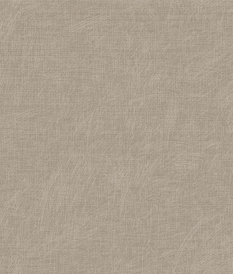 ���� Brewster Evolution 3 BWE03402