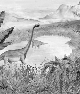 ���� Coordonne Random Kids 9700042