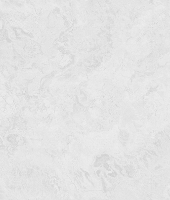 ���� ������ Luxury AR11196-04