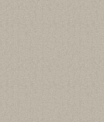 ���� Brewster Evolution 4 BWE04519