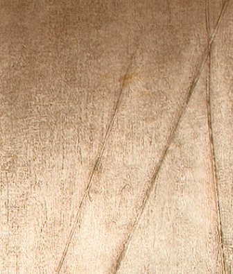 ���� Marburg Horus 58705