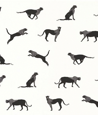 ���� Caselio Moonlight 101140096