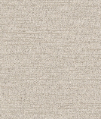 ���� Brewster Evolution 2 BWE02421