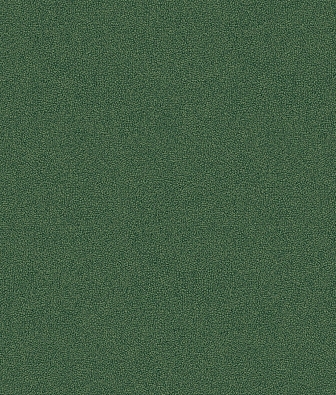 ���� Brewster Evolution 5 BWE05612