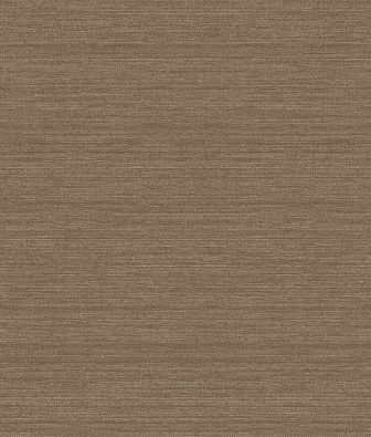 ���� Brewster Evolution 4 BWE04515