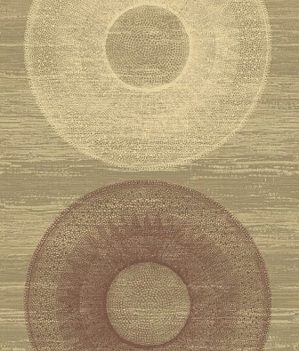 ���� Carl Robinson Edition 14 CR60406