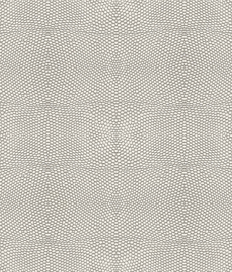  ProSpero Raw Elegance 343-347310