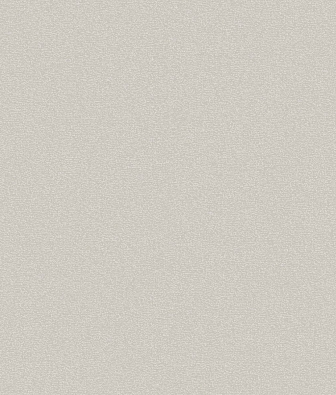 ���� Brewster Evolution 3 BWE03618