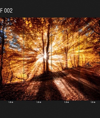 ���� Loymina Illusion DF 002