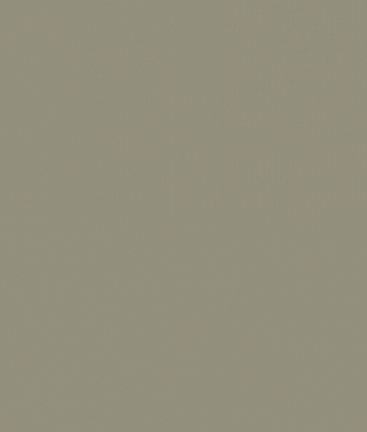  ProSpero Raw Elegance 343-345707