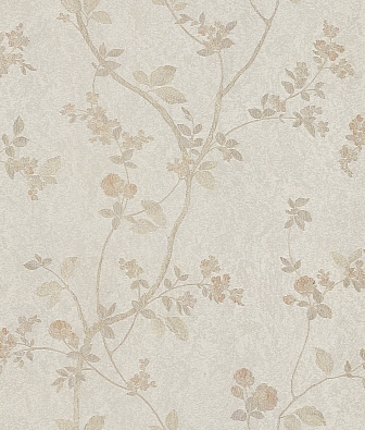 ���� Baoqili KY-60 AMS860126A