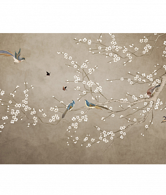 ���� Brewster New Creator 5 CBY128