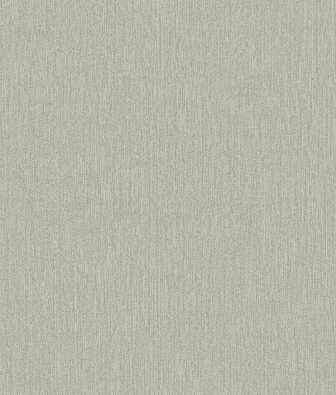 ���� Brewster Evolution 4 BWE04527