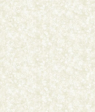 ���� Bruno Zoff Gold 60124-1