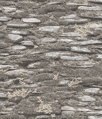 ���� Aura Evergreen 7337