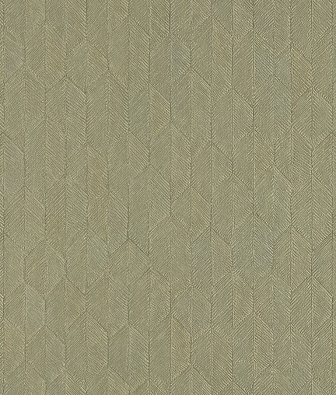 ���� Studio Italia Collection Mediolanum ME80013