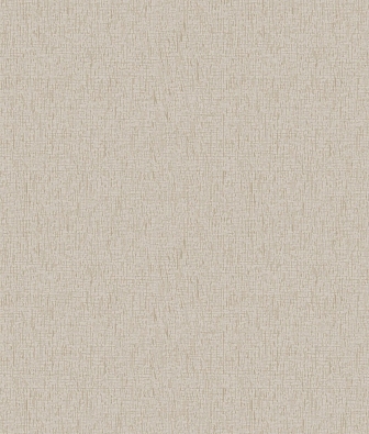 ���� Brewster Evolution 5 BWE05617