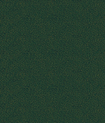 ���� Baoqili KY-89 AMS889124