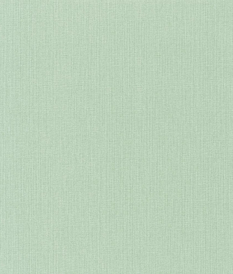 ���� Caselio Natte 101567001