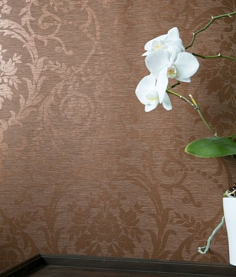 ���� Hohenberger Epic 63557