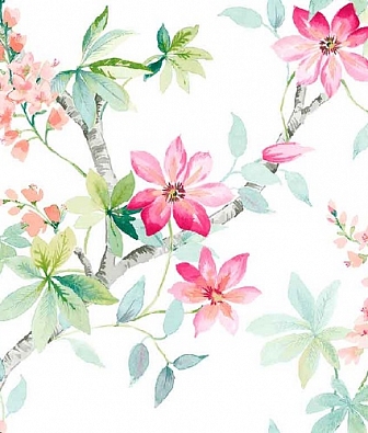 ���� Carl Robinson Edition 10 cr20802