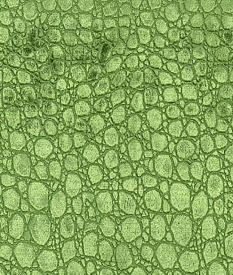 Osborne&Little Sabi Velvets F6270-07