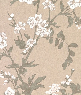 ���� Loymina Satori 2 ST 012