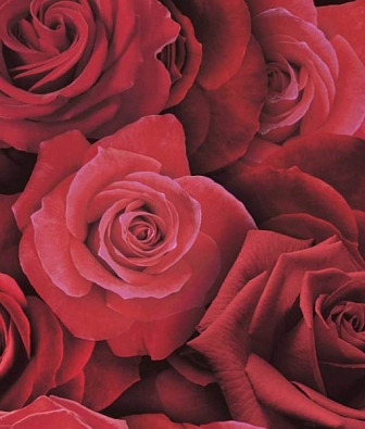 ���� Arthouse Options 3 675600