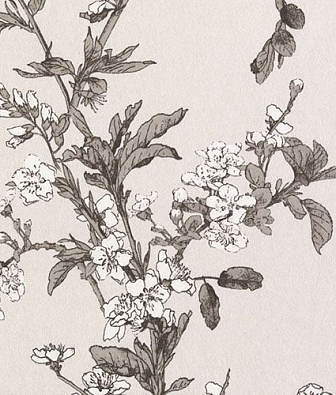 ���� Loymina Satori 2 ST 015