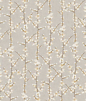  Aura Spring 1904-2