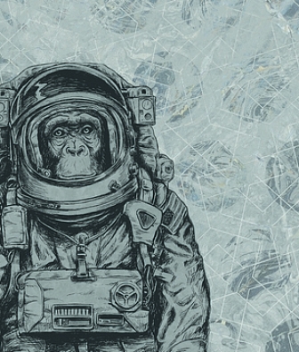  KT-Exclusive Vanilla Lime 014214 SPACE MONKEY