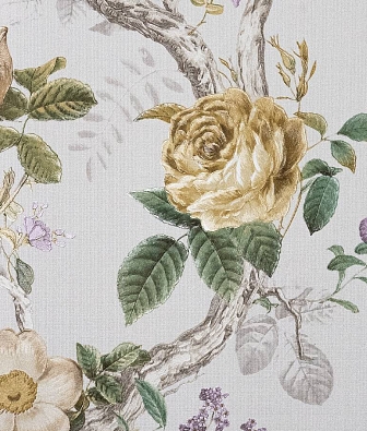 ���� Andrea Rossi Cavolli 54421-3