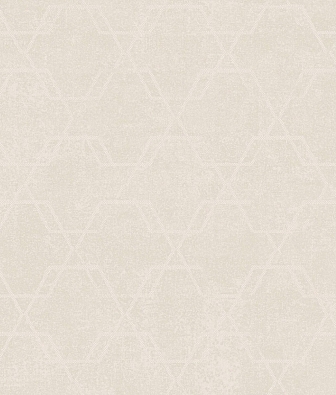 ���� Brewster Evolution 4 BWE04202