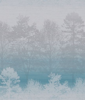 ���� Mayflower  Aerial fj020200