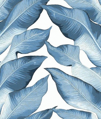 ���� York Modern Heritage NV5543