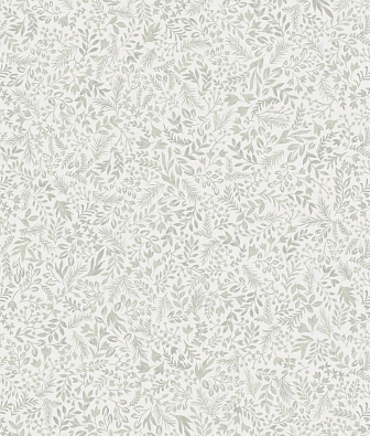 ���� Khroma Olivia OLI507