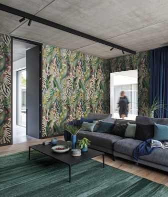 ���� Omexco Ode Ode6113