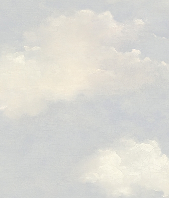 ���� Mayflower  Transition 30901