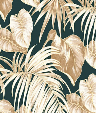 ���� Seabrook Tortuga TA21600